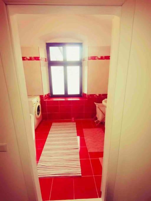 Casa Young&jung Sibiu