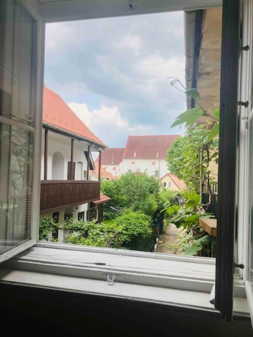 Apartment Casa Young&jung Sibiu