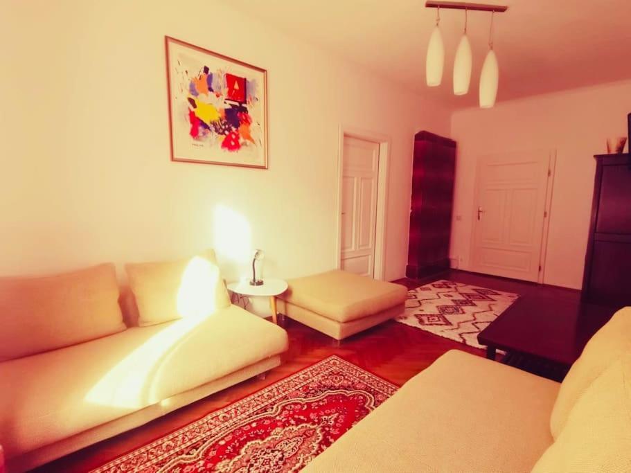 Casa Young&jung Sibiu